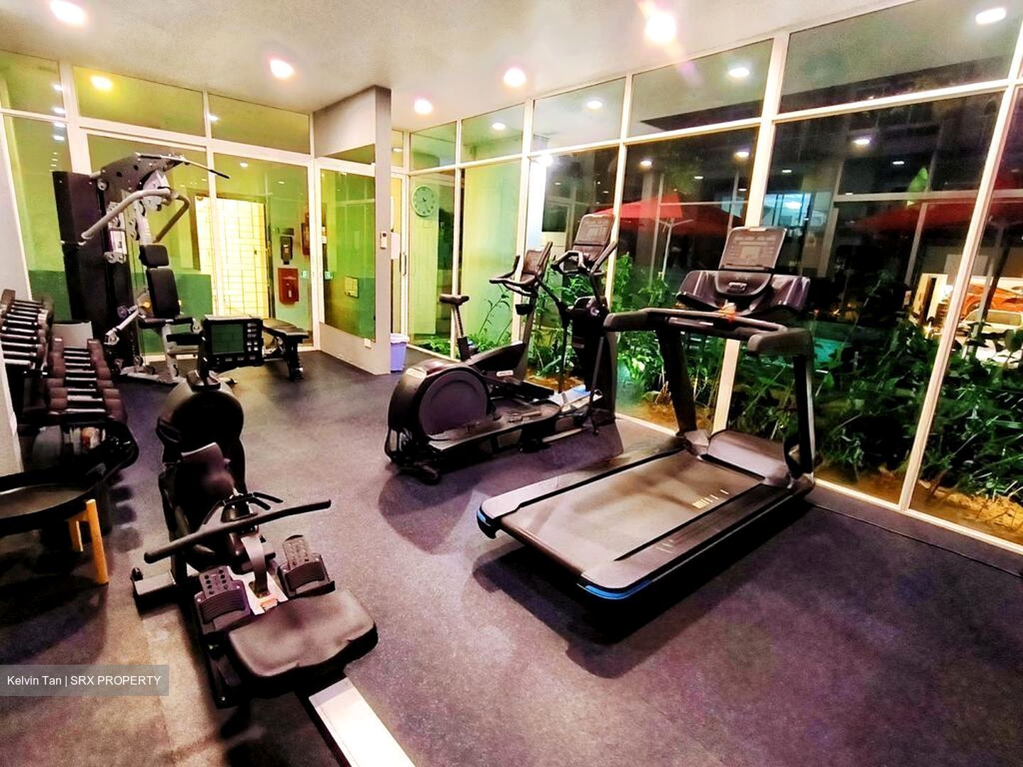 Le Reve (D14), Condominium #523079821
